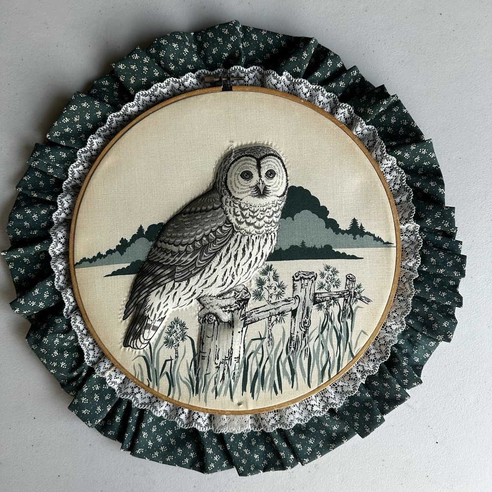 Vintage Owl Hoop Art 10.5" Padded 3D Embroidery Lace Folk Woodland Wall Decor